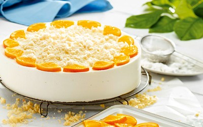 Meister Sahnessa Quark