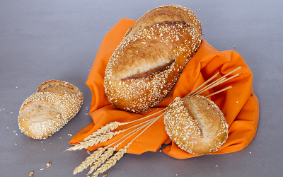 Mix Fitkorn Spécial 50&nbsp;%